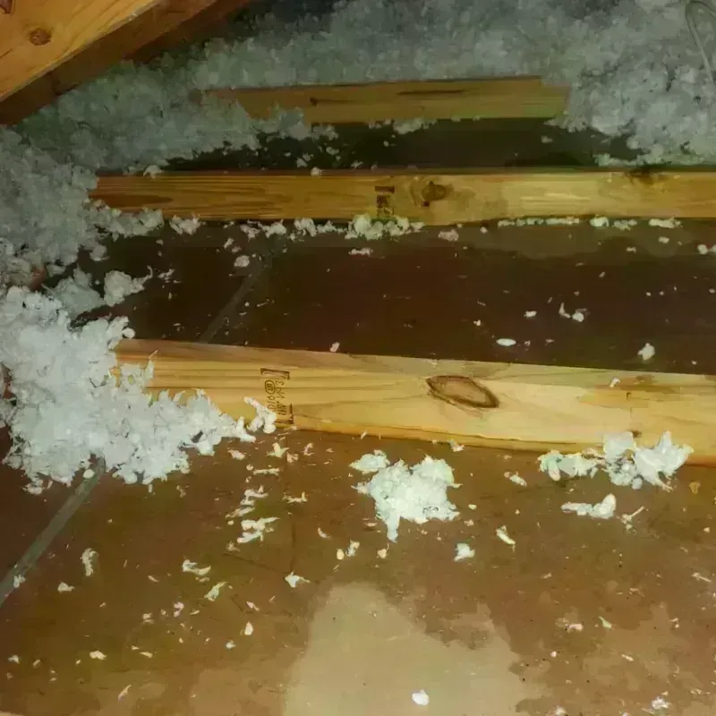 Attic Water Damage in Big Lake, TX