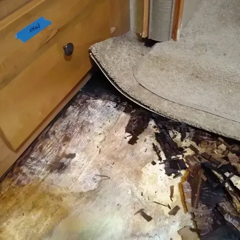 Wood Floor Water Damage in Big Lake, TX